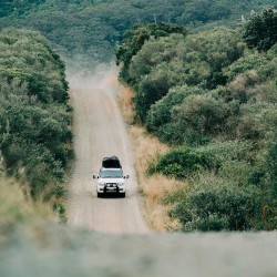 OCEAN & EARTH SURFBOARD TIE DOWN STRAPS